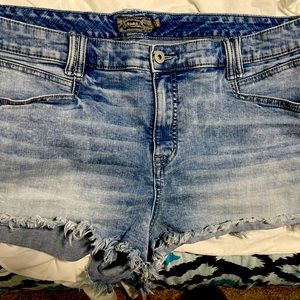 Torrid jean shorts